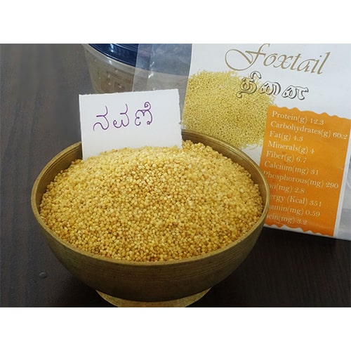 Navni Akki/foxtail/navane akki
